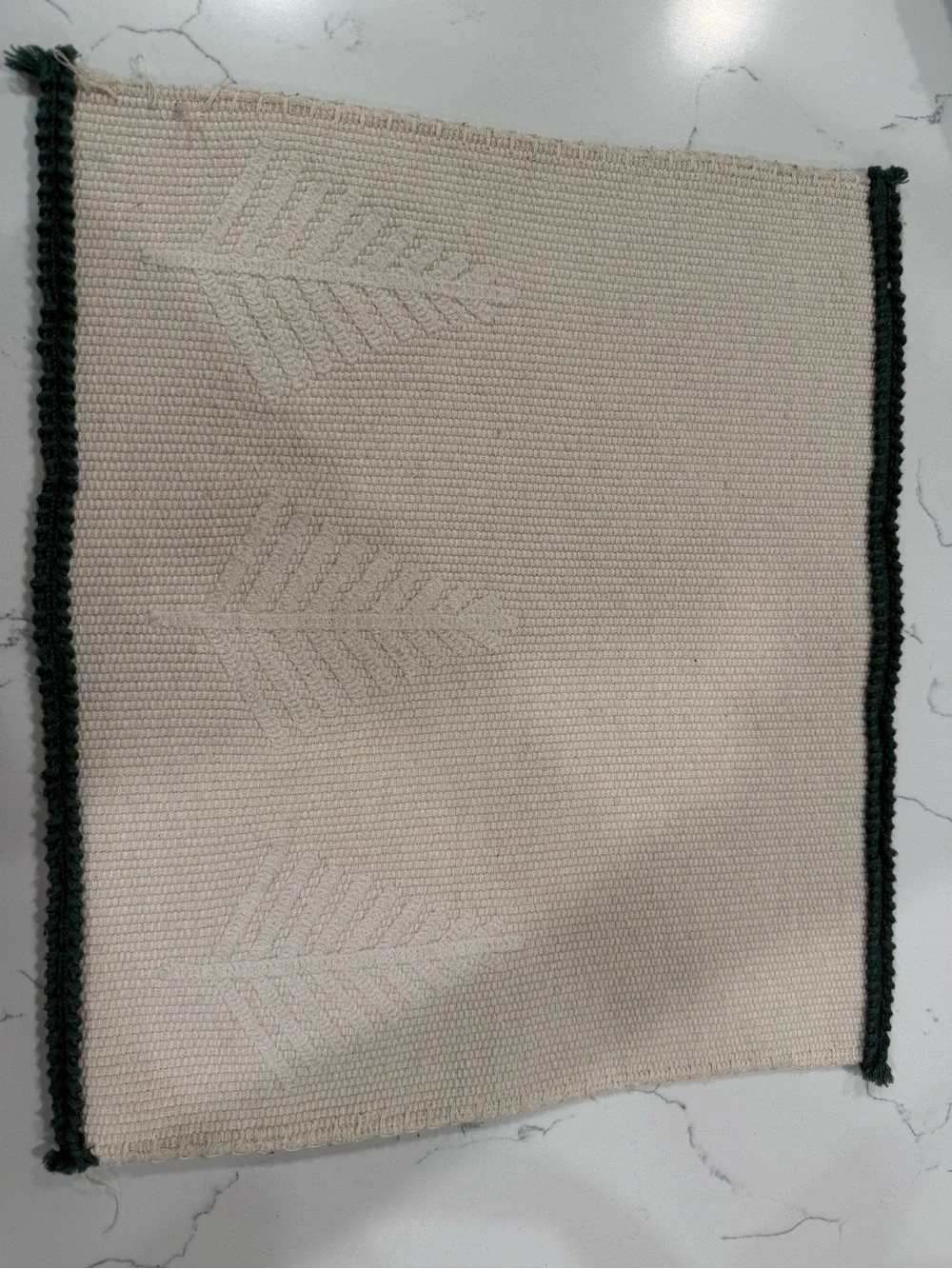 12 Christmas/Winter placemats